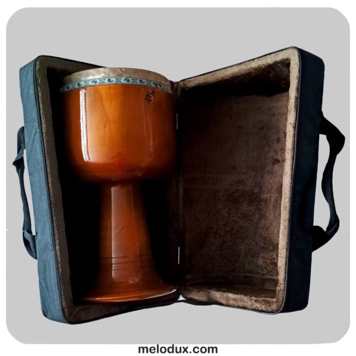 نمونه هاردکیس